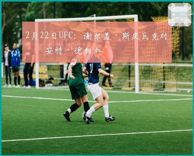 2月22日UFC：谢尔盖·斯皮瓦克对战安特·德利加