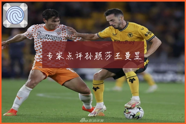 专家点评孙颖莎王曼昱