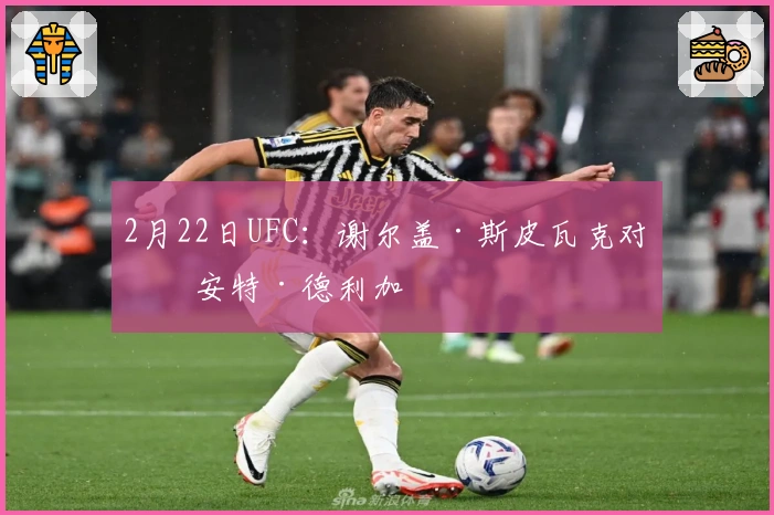 2月22日UFC：谢尔盖·斯皮瓦克对战安特·德利加